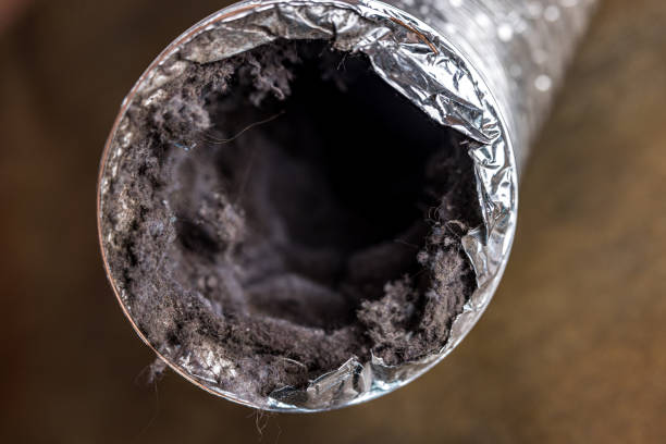 Best Home Air Vent Cleaning  in Redwood, OR